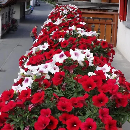 Domblick Saas-Fee